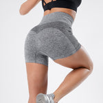 Women's Seamless High Waist Fitness Shorts